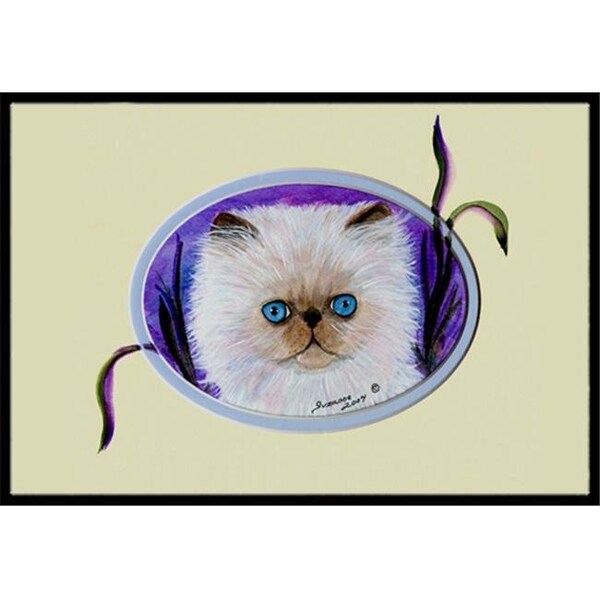 Carolines Treasures Carolines Treasures SS8020JMAT Cat Indoor Or Outdoor Doormat - 24 x 36 in. SS8020JMAT - main